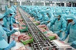 Hội thảo 'Thực trạng và nguyên nhân sụt giảm xuất khẩu nông sản Việt Nam quý I năm 2015'